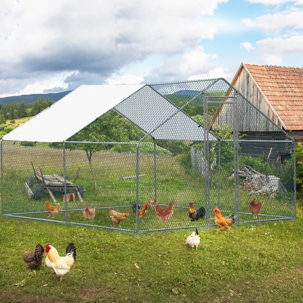 Al Fresco 10 x 10 ft Large Metal Chicken Run, Walk-in Poultry Cage, Spire-Shaped Chicken Coop with Waterproof and Anti-Ultraviolet Cover for Hen House, Duck and Rabbit, Silver